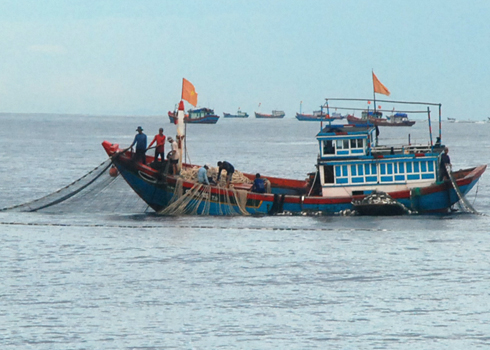 Nơi kết nối sức mạnh ngư dân
