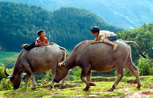 The beautiful smiles of mountain children