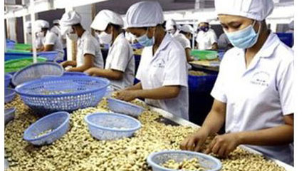 Vietnam-Netherlands trade rises sharply