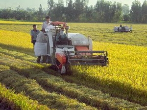 Khoảng 30 lương thực, thực phẩm trên thế giới bị lãng phí hàng năm