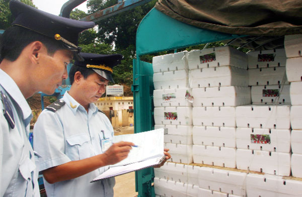 Vietnam’s commodity exports at 37th place since WTO accession