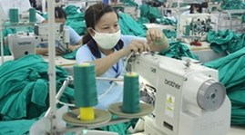 Vietnamese firms ready to spread to other Asian markets
