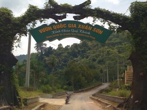 Xuan Son National Park becoming tourist hotspot