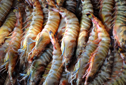 DOC confirms no Vietnam shrimp dumping
