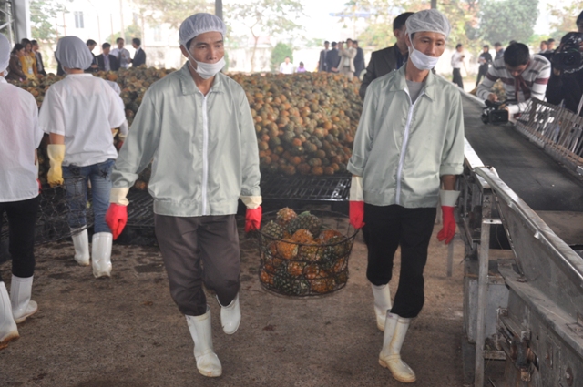 Over 11,000 businesses recover operation in nine months