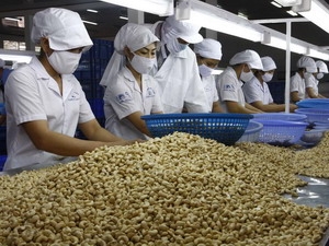 Agriculture, forestry and fishery exports rise slightly in nine months