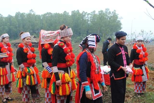 Many ethnic culture preservation projects to be carried in 2014
