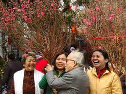 Hanoi to open 47 flower markets for Tet