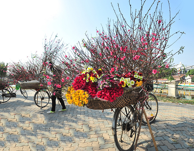 Carrying flowers in Hanoi before Tet