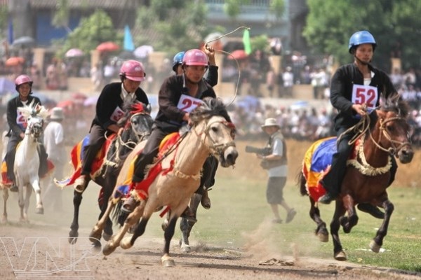 Bringing Mong ethnic horse racing festival to Hanoi