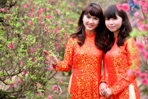 Sắc xuân đang về