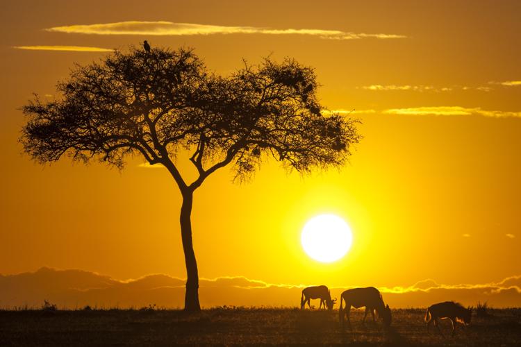 Les beaux moments de l’ heure d or dans le monde