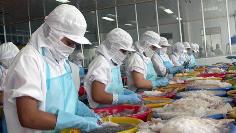 Cuttle-fish, octopus exports to ASEAN on rise