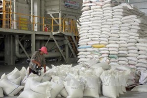Rice export to face severe competition in 2014