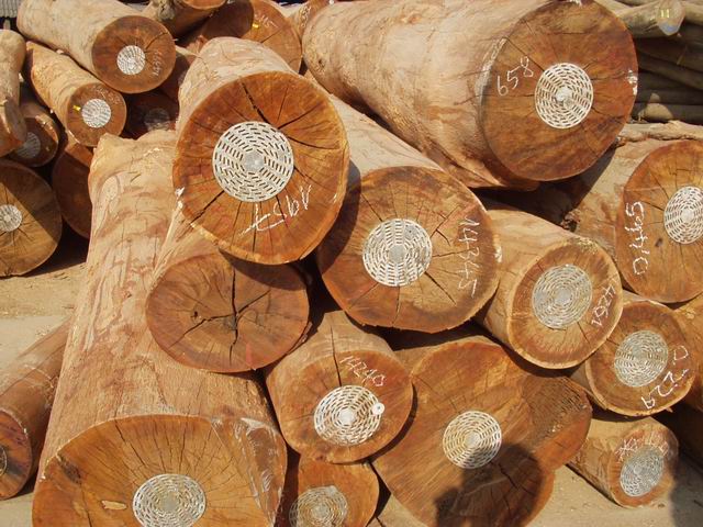 MoIT fixes regulations on importing wood from Cambodia