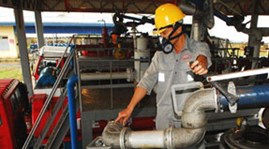 Ministry cuts petroleum imports