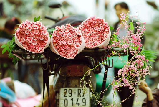 Les grands marchés aux fleurs printanières de Hanoï à l occasion du Têt