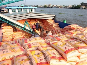 2014 Brighter prospects for Vietnamese economy