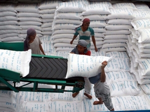 Can Tho targets 1 mln tonnes in rice export
