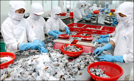 Shrimp exports to China skyrocket in 2013