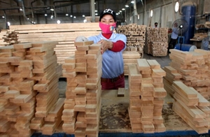Vietnam s wood exports top USD5 3 billion in 2013