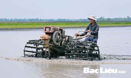 Vụ lúa thu đông Khởi đầu với nhiều khó khăn