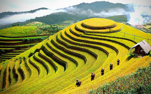 Vietnam heritage photos on display in Ho Chi Minh City