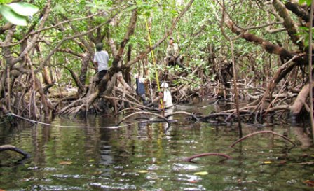 Con Dao National Park receives Ramsar recognition
