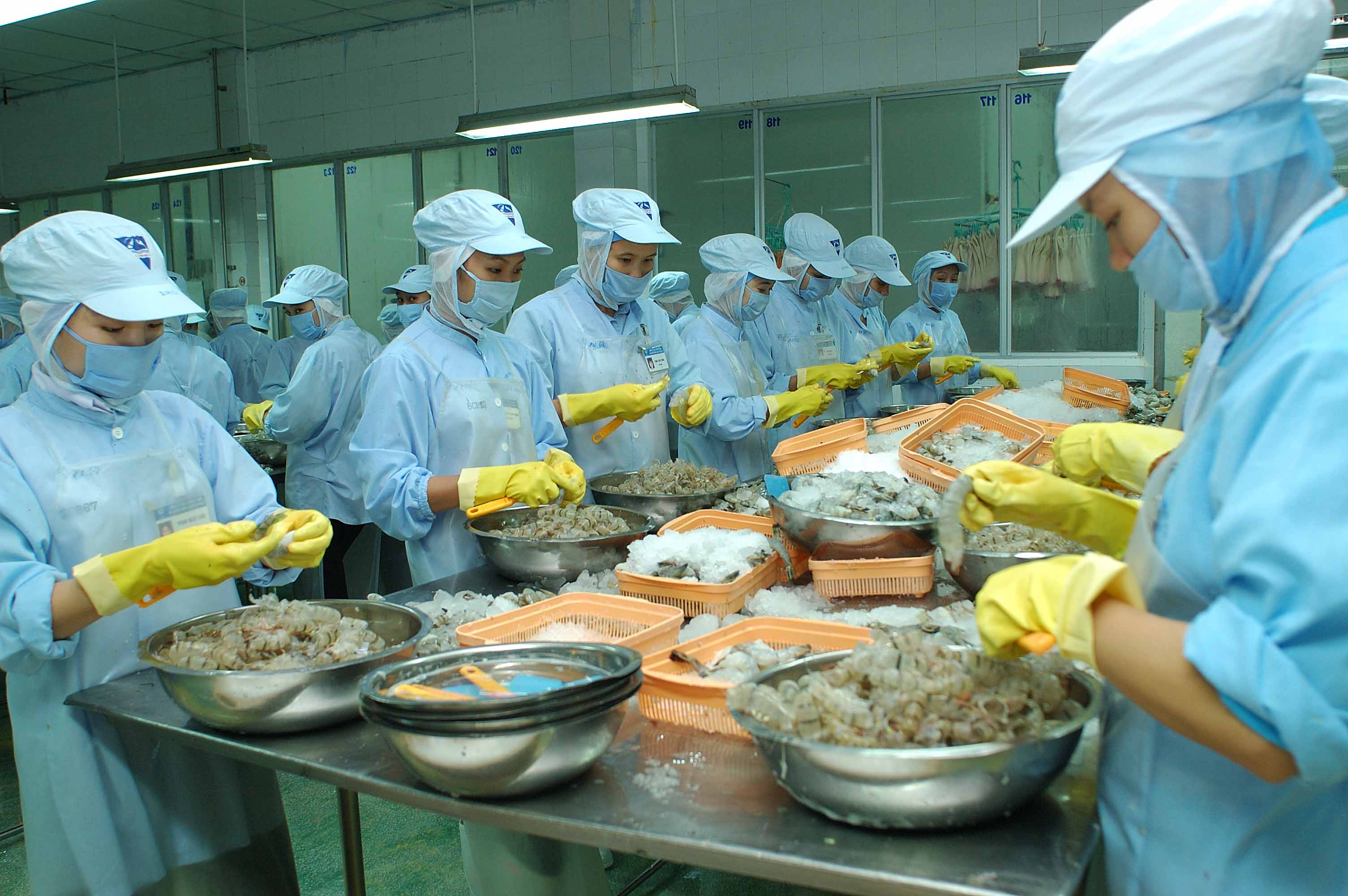 Exports to Egypt regain growth