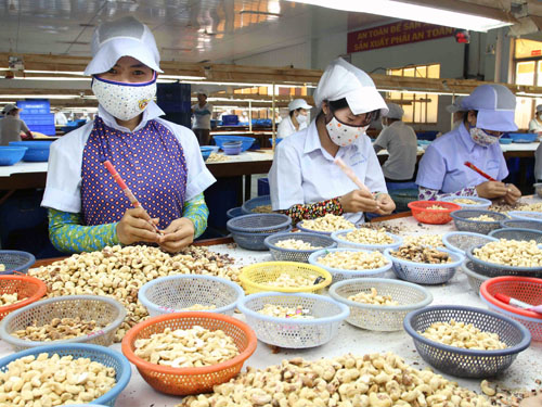 Country earns USD25 3 billion from agriculture, forestry and seafood exports