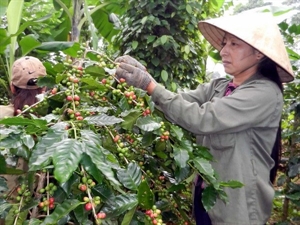 Vietnam’s trade with Chile soars 102 percent