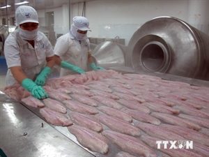 Vietnam tops frozen fish fillet exports to Brazil