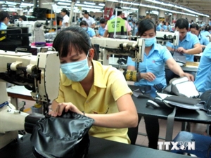 Project launched to support footwear businesses