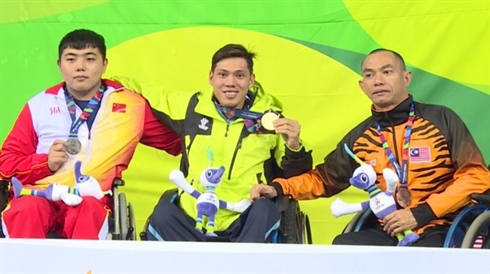 Asian Para Games  la natation vietnamienne brille