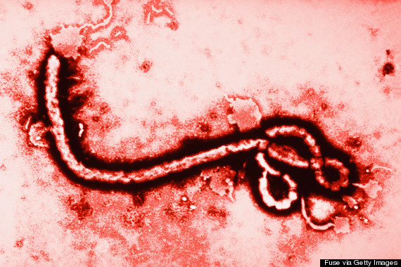 Ebola première contamination hors d Afrique