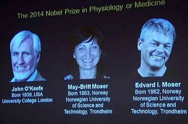 The Nobel Prize for Medicine 2014