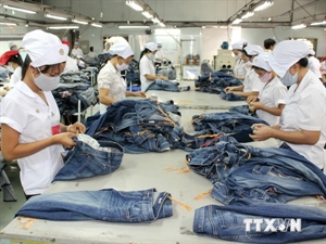 Vietnamese exports to Canada up by 17 percent annually