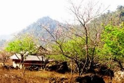 Khu du lịch quốc gia Mộc Châu trở thành động lực phát triển du lịch vùng