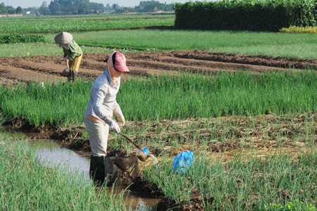 Hà Nội Tháo gỡ những “nút thắt” trong xây dựng nông thôn mới