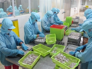 January-October industrial production up