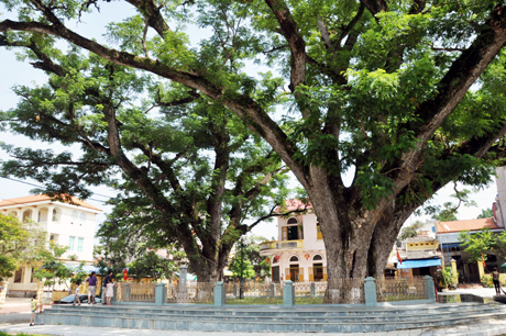 Recognizing three tourism routes in Quang Yen commune