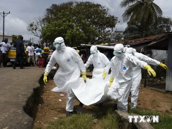WHO reduces Ebola death toll