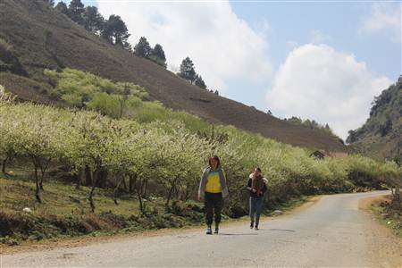 Moc Chau National Tourism Area development plan approved