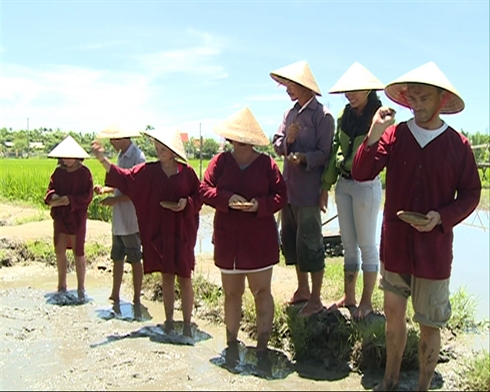 Trois tours appréciés par les touristes au Vietnam
