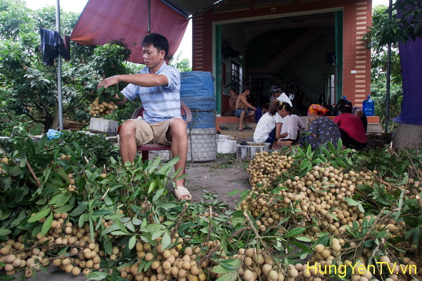 Những thành tựu kinh tế xã hội nổi bật của Hưng Yên năm 2014