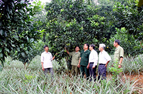 Cựu chiến binh huyện Thạch Thành “Thực hành tiết kiệm” noi gương Bác