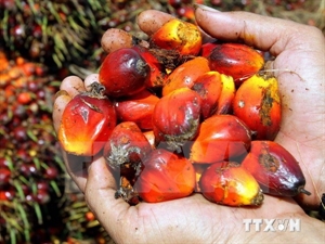 Malaysia establishes National Export Council