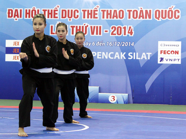 Đoàn Hà Nội bội thu Huy chương vàng tại Đại hội Thể dục Thể thao toàn quốc 2014