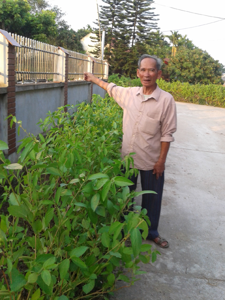 Chi hội trưởng cựu chiến binh gương mẫu