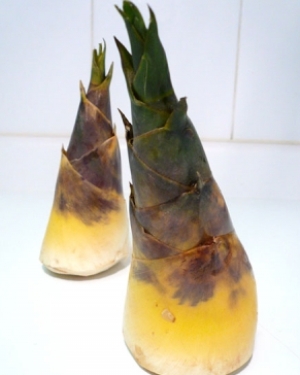 Cảnh báo ngộ độc thực phẩm khi sử dụng măng